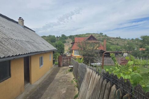 CV0529-Casa cu teren 3000 mp de vanzare str. Adevarului-30