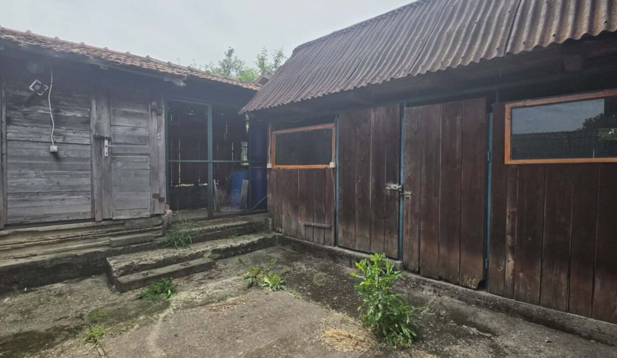 CV0529-Casa cu teren 3000 mp de vanzare str. Adevarului-31