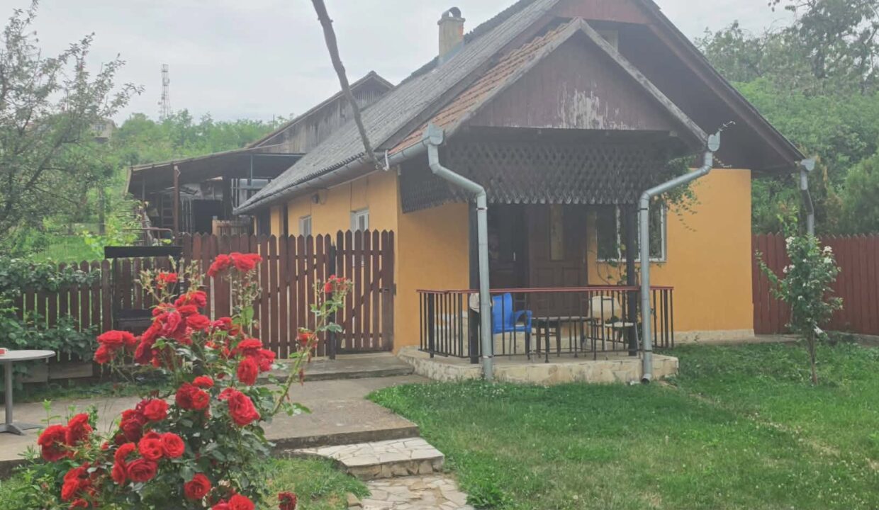 CV0529-Casa cu teren 3000 mp de vanzare str. Adevarului-32