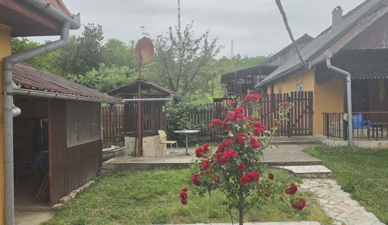 CV0529-Casa cu teren 3000 mp de vanzare str. Adevarului-33