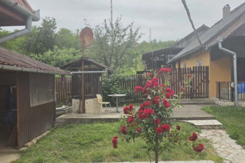 CV0529-Casa cu teren 3000 mp de vanzare str. Adevarului-33