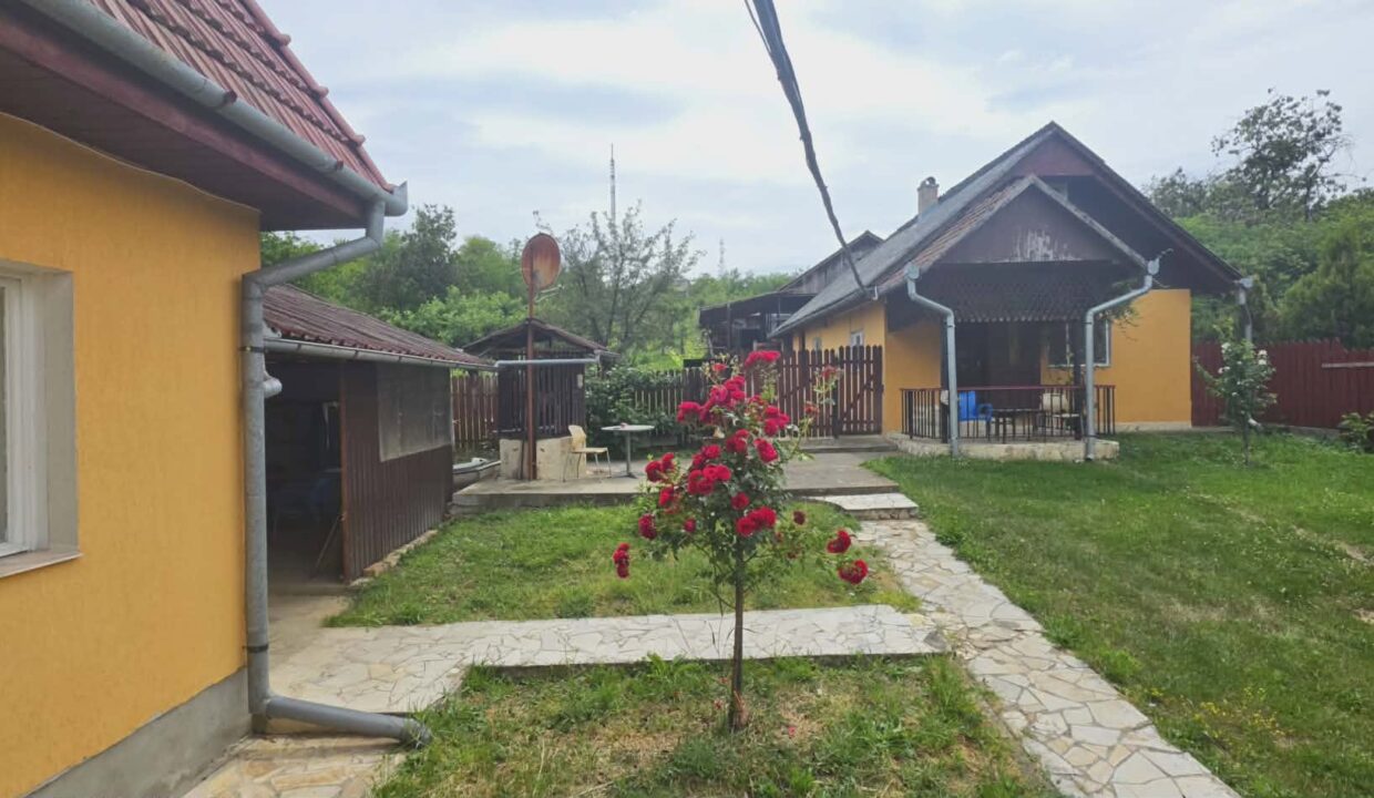 CV0529-Casa cu teren 3000 mp de vanzare str. Adevarului-34