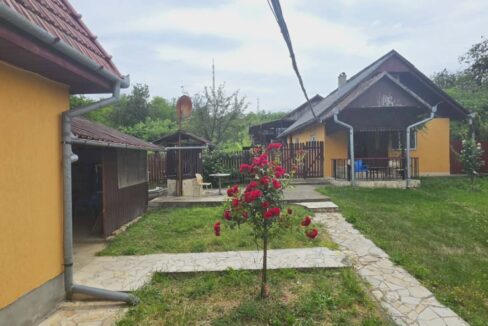CV0529-Casa cu teren 3000 mp de vanzare str. Adevarului-34