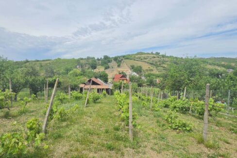 CV0529-Casa cu teren 3000 mp de vanzare str. Adevarului-36