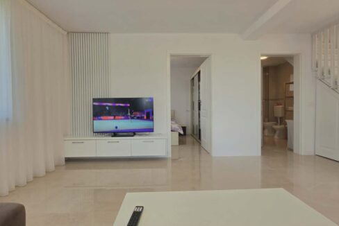 CV0530-Casa nouă Sanmartin cartier Lotus de inchiriat-10