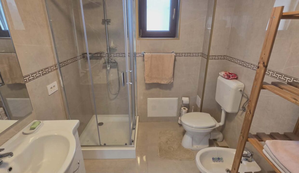 CV0530-Casa nouă Sanmartin cartier Lotus de inchiriat-41
