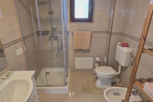 CV0530-Casa nouă Sanmartin cartier Lotus de inchiriat-41