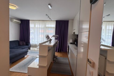 AP1525-Apartament 1 cam. de vanzare, str. T Vladimirescu-02