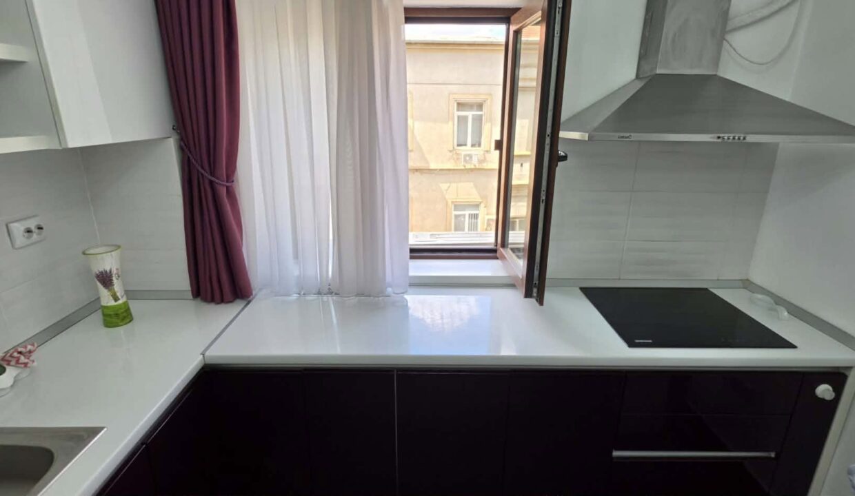 AP1527-Ap 3 cam de inchiriat, central blvd. Magheru-10