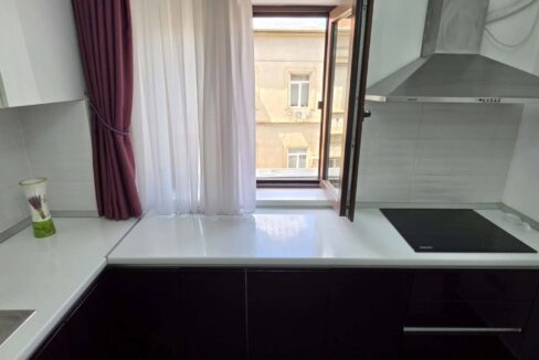 AP1527-Ap 3 cam de inchiriat, central blvd. Magheru-10
