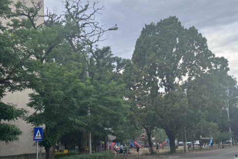 AP1529-Ap. 3 cam. de închiriat, Splaiul Crișanei-41