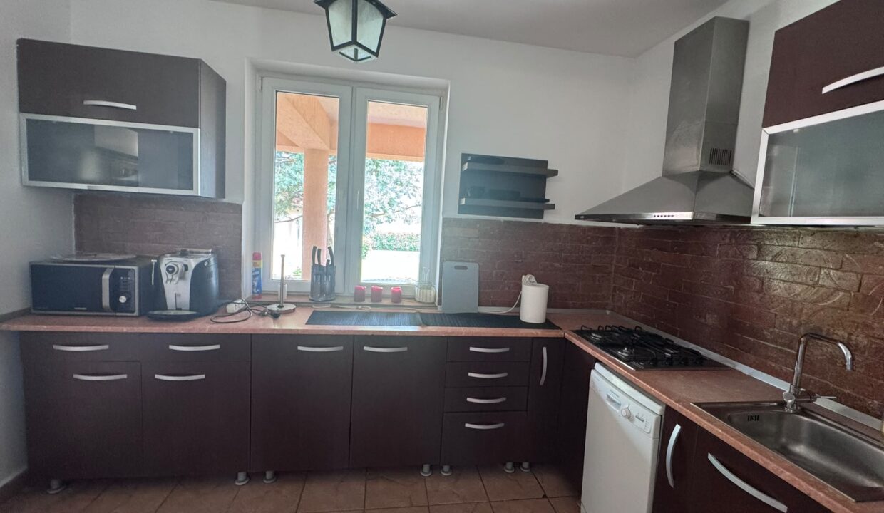 CV0532-Casa cu 3 dormitoare de inchiriat, Santandrei-23