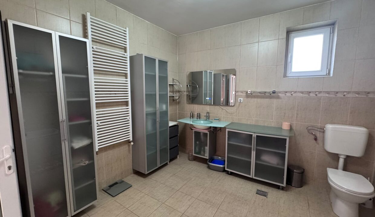 CV0532-Casa cu 3 dormitoare de inchiriat, Santandrei-43