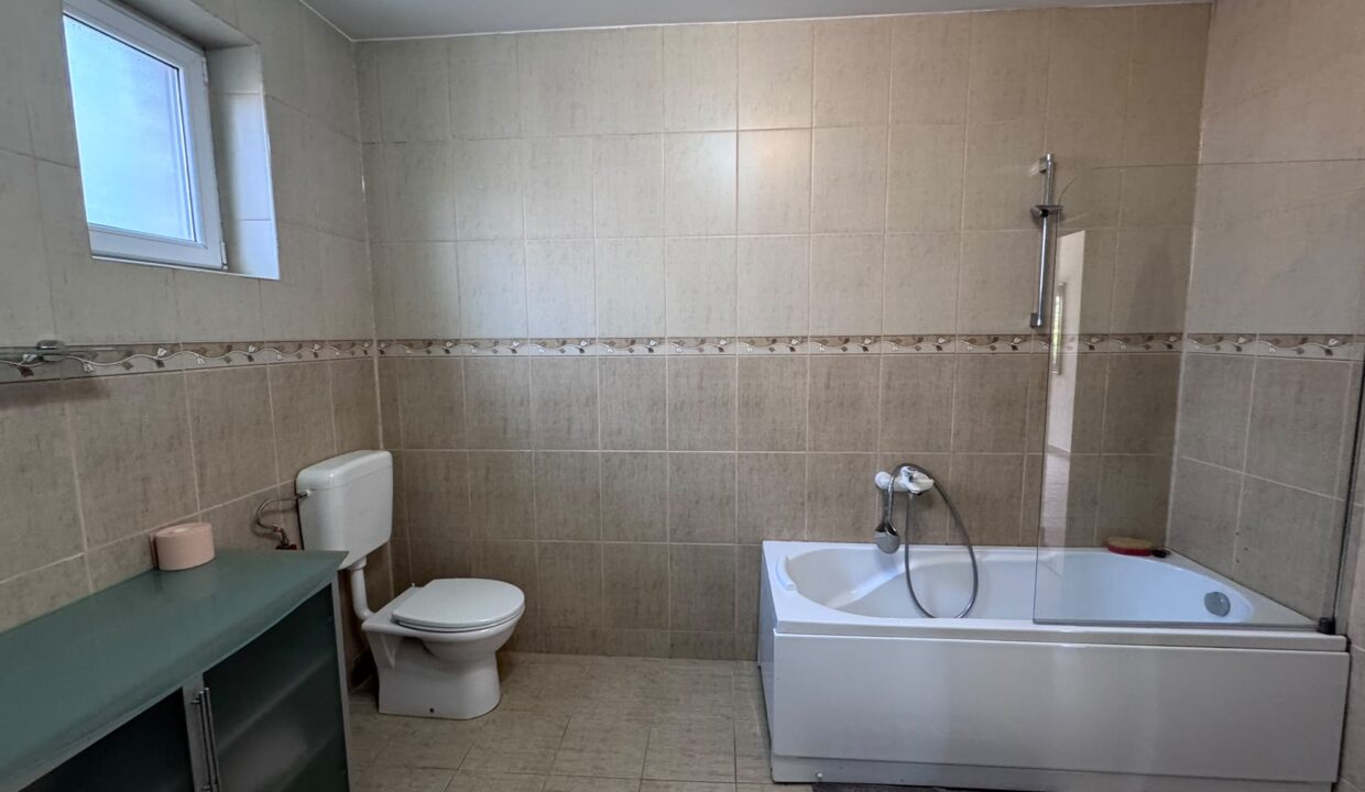 CV0532-Casa cu 3 dormitoare de inchiriat, Santandrei-47