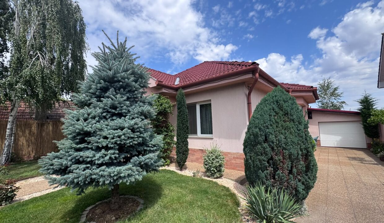 CV0532-Casa cu 3 dormitoare de inchiriat, Santandrei-79