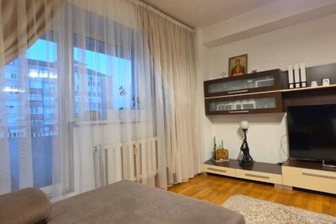 AP1554-Ap 3 cam tip C de vanzare blvd Nufarului-13