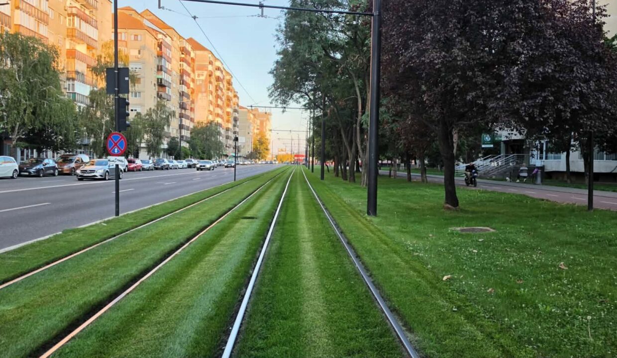 AP1554-Ap 3 cam tip C de vanzare blvd Nufarului-39