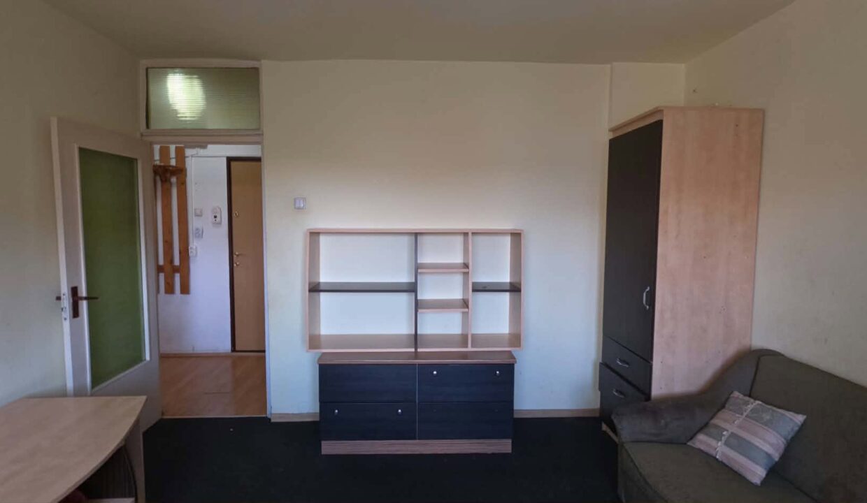 AP1555-Apartament 1 cam. de vanzare, str. Dorobanților-09