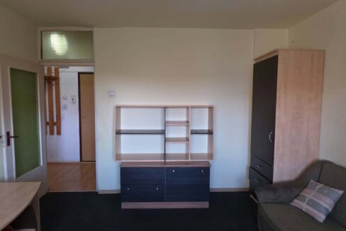 AP1555-Apartament 1 cam. de vanzare, str. Dorobanților-09