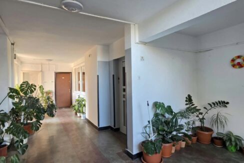 AP1561-Apartament 2 camere de vanzare, str. Sovata-23