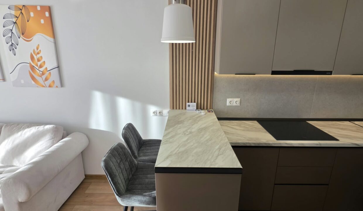 AP1569-AP. 2 CAMERE DE INCHIRIAT-18