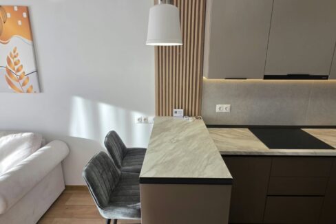 AP1569-AP. 2 CAMERE DE INCHIRIAT-18